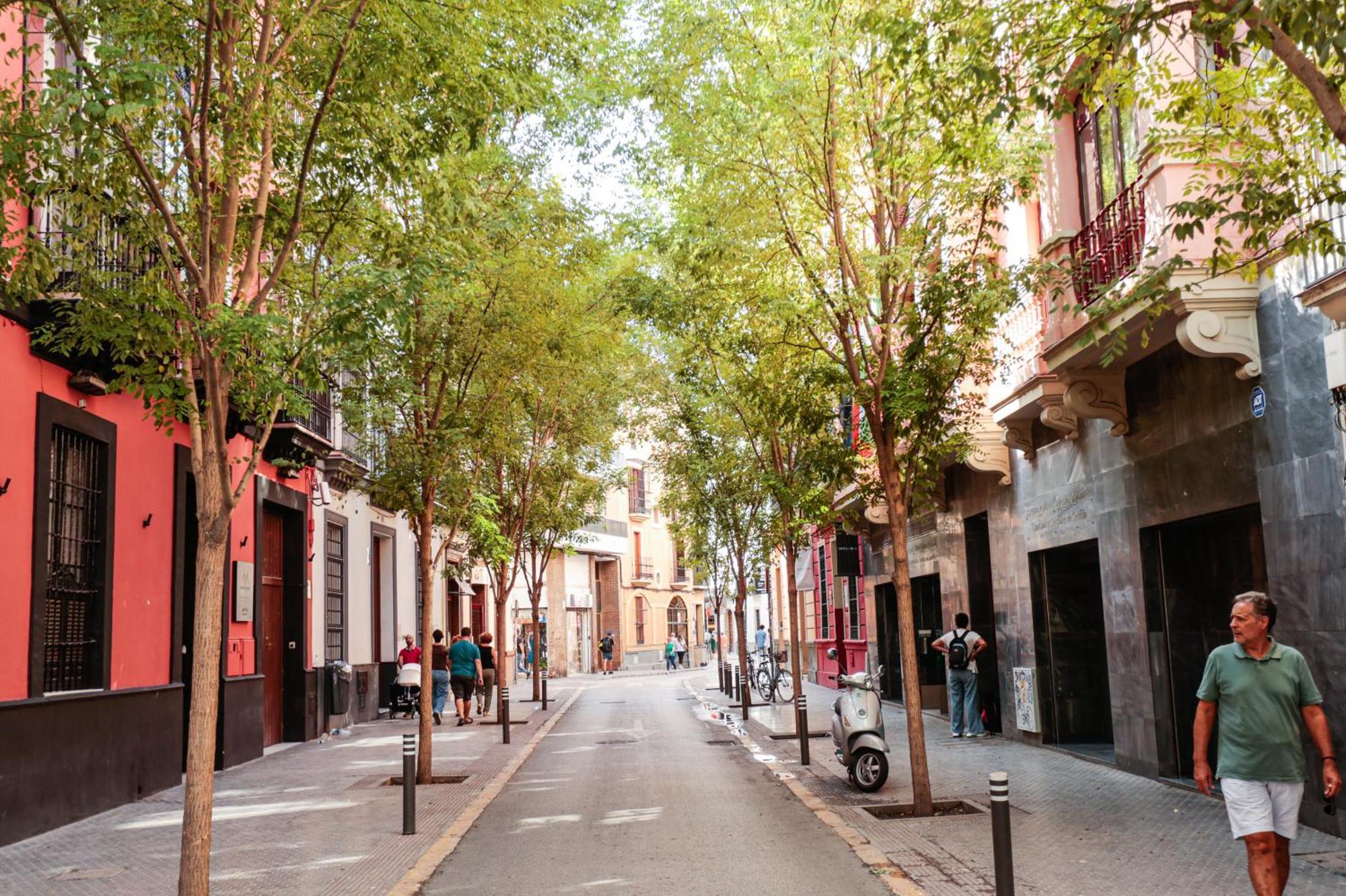 Monkeys Apartments Cervantes إشبيلية المظهر الخارجي الصورة