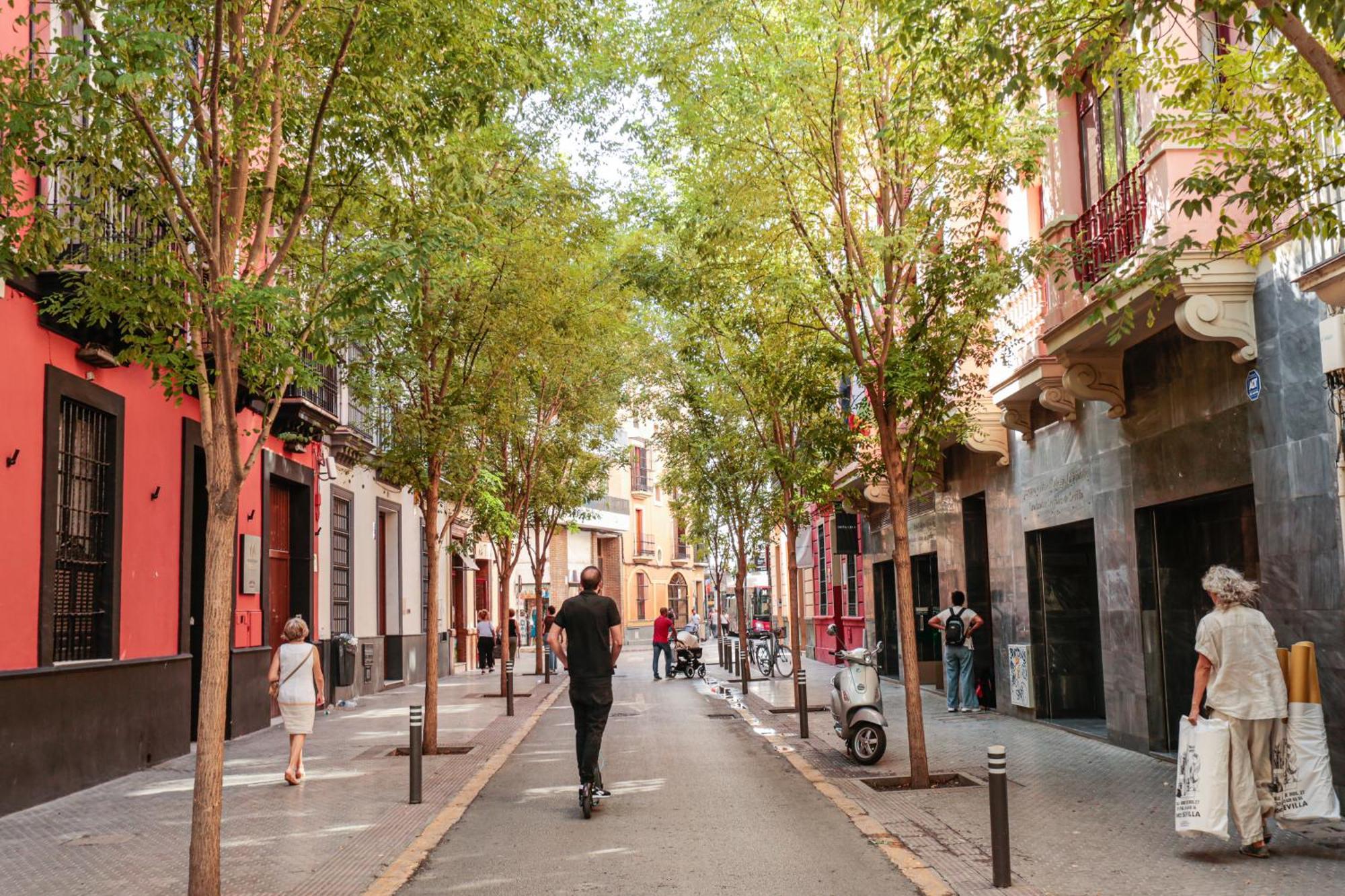 Monkeys Apartments Cervantes إشبيلية المظهر الخارجي الصورة